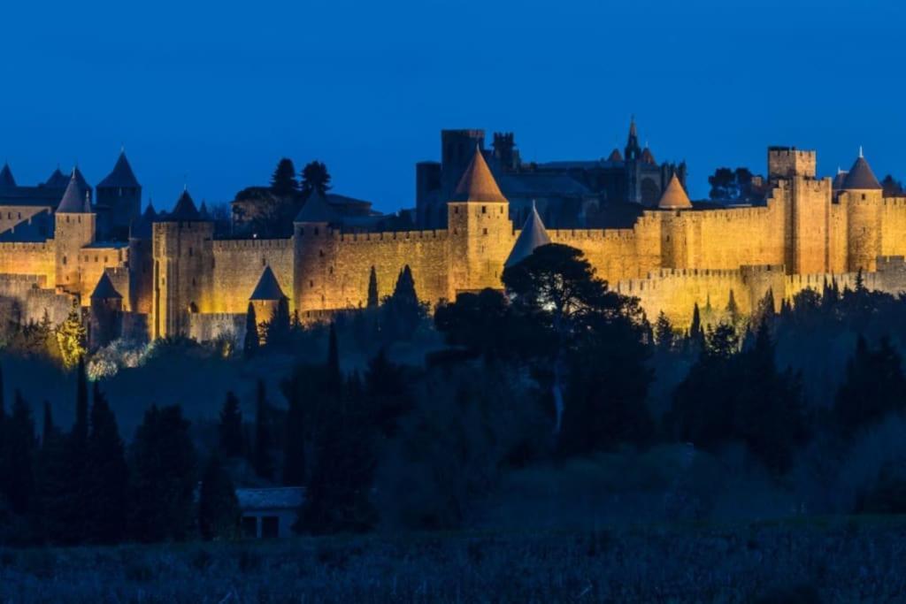 Le Panoramique - Sublime Vue Sur La Cite Apartamento Carcasona